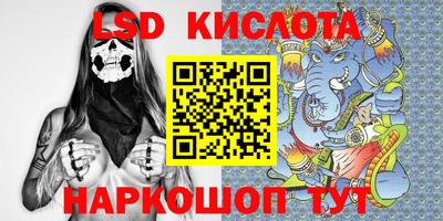 гидра Краснокаменск
