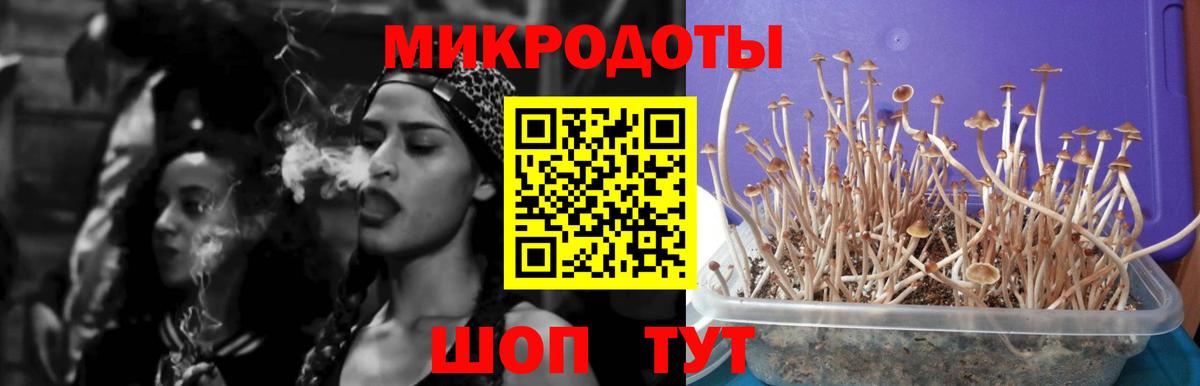 Галлюциногенные грибы прущие грибы Комсомольск-на-Амуре